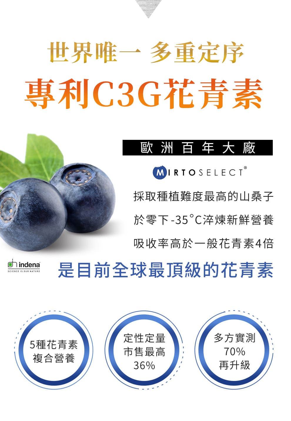 GE040-02